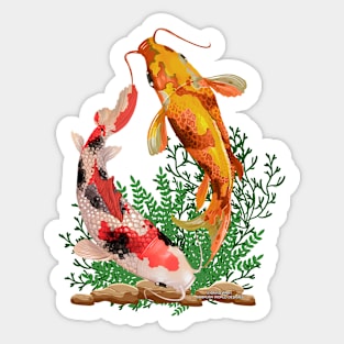 Koi Fish Aquatic Life Sea Creature Lover's Novelty Gift Sticker